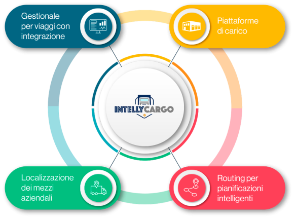 infografica